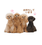 momemimaスタンプ（個別スタンプ：7）
