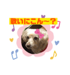 ココちゃん(方言あり・・・)（個別スタンプ：2）