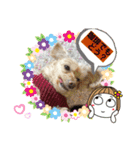 ココちゃん(方言あり・・・)（個別スタンプ：3）