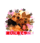 ココちゃん(方言あり・・・)（個別スタンプ：4）