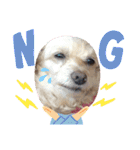ココちゃん(方言あり・・・)（個別スタンプ：9）