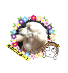 ココちゃん(方言あり・・・)（個別スタンプ：12）