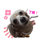 ココちゃん(方言あり・・・)（個別スタンプ：15）