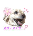ココちゃん(方言あり・・・)（個別スタンプ：16）