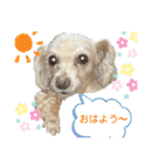 ココちゃん(方言あり・・・)（個別スタンプ：17）