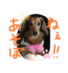 れいちゃんなのよーん（個別スタンプ：1）