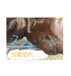 れいちゃんなのよーん（個別スタンプ：3）