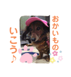 れいちゃんなのよーん（個別スタンプ：4）