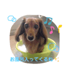 れいちゃんなのよーん（個別スタンプ：5）