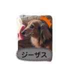 れいちゃんなのよーん（個別スタンプ：9）