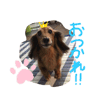 れいちゃんなのよーん（個別スタンプ：11）