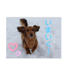 れいちゃんなのよーん（個別スタンプ：13）