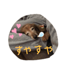 れいちゃんなのよーん（個別スタンプ：16）
