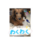 れいちゃんなのよーん（個別スタンプ：17）