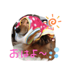 れいちゃんなのよーん（個別スタンプ：22）