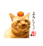 元野良猫モンのスケさん（個別スタンプ：1）