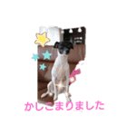 呟くなゆた（個別スタンプ：3）