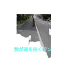 呟くなゆた（個別スタンプ：6）