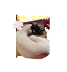 呟くなゆた（個別スタンプ：7）