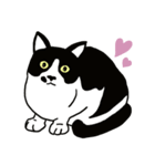 猫のたーちゃん・ちーちゃん（個別スタンプ：1）