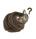猫のたーちゃん・ちーちゃん（個別スタンプ：2）