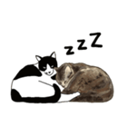 猫のたーちゃん・ちーちゃん（個別スタンプ：3）