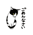 猫のたーちゃん・ちーちゃん（個別スタンプ：7）