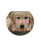 エイトの日常生活（個別スタンプ：1）