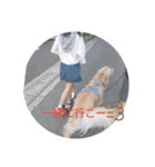 エイトの日常生活（個別スタンプ：4）