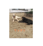 エイトの日常生活（個別スタンプ：9）