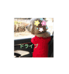 エイトの日常生活（個別スタンプ：10）