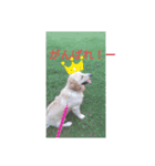 エイトの日常生活（個別スタンプ：13）