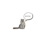タンプスタンプスタンプ（個別スタンプ：5）