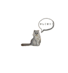 タンプスタンプスタンプ（個別スタンプ：6）
