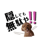 くっきー(犬)（個別スタンプ：4）