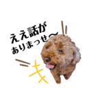 くっきー(犬)（個別スタンプ：11）