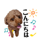 くっきー(犬)（個別スタンプ：22）