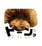 くっきー(犬)（個別スタンプ：23）
