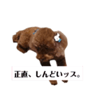 くっきー(犬)（個別スタンプ：24）