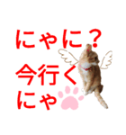 リンちゃんのスタンプ03（個別スタンプ：2）