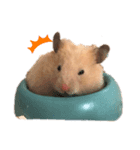 砂川家のきなこさん（個別スタンプ：3）