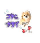 ポメラニアンmocoの日常スタンプ(*´ω｀*)（個別スタンプ：16）