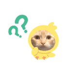 はなちゃんの独り言（個別スタンプ：4）