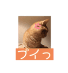 はなちゃんの独り言（個別スタンプ：19）