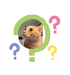 はなちゃんの独り言（個別スタンプ：22）