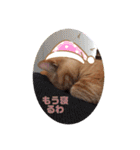 はなちゃんの独り言（個別スタンプ：23）