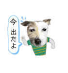 リアルな犬（個別スタンプ：4）