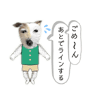 リアルな犬（個別スタンプ：5）