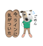 リアルな犬（個別スタンプ：8）