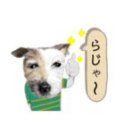 リアルな犬（個別スタンプ：10）